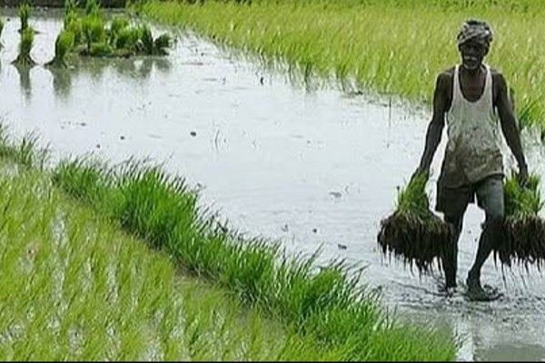 60 வயது நிறைந்த அனைத்து விவசாயிகளுக்கும் ஓய்வூதியம்.....!