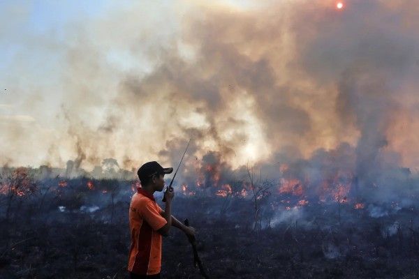 இந்தோனேஷியாவில் காட்டுத்தீ மற்றும் நச்சுப் புகை
