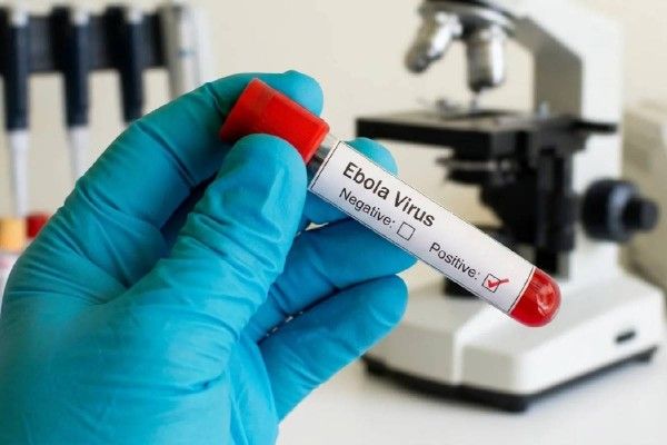 நைஜீரியாவில் சுவிஸ் தூதரின் மனைவிக்கு எபோலா