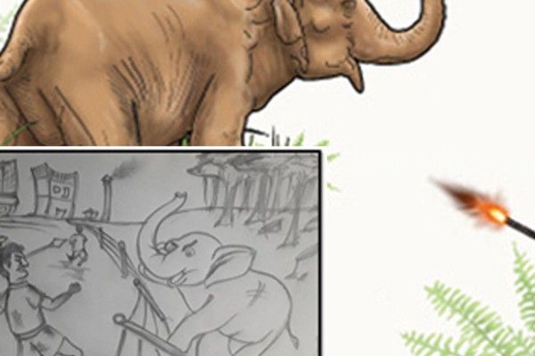 அனுராதபுரத்தில் யானை - மனித மோதலைத் தடுக்க விசேட திட்டம்