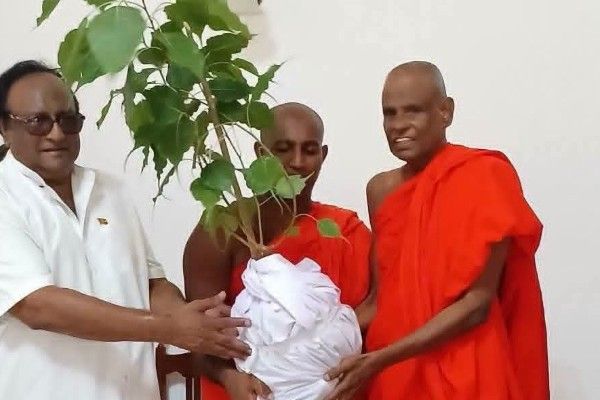 பௌத்த விகாரைக்கு ஜய ஸ்ரீ மகா போதியிலிருந்து போதி மரக்கன்று!