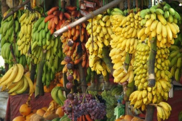 எதிர்வரும் ஏப்ரல் 1ஆம் திகதி முதல் கடுமையான நடைமுறை 
