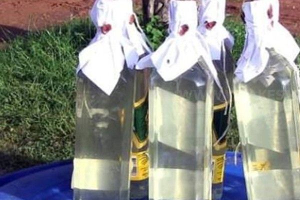 ராகமை பகுதியில்  ஒருவர்  கசிப்புடன்  கைது
