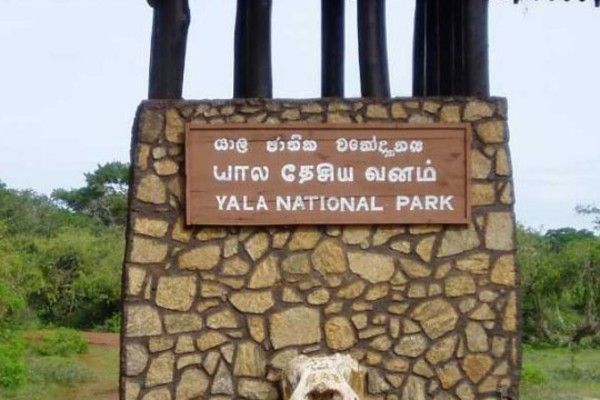 யால தேசிய பூங்காவின் 1ஆம், 2ஆம் வலயங்கள் மீண்டும் திறப்பு