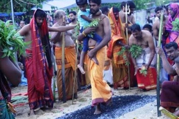 பெரியகல்லாறு வடபத்திரகாளியம்மன் சக்தி விழா தீமிதிப்பு 